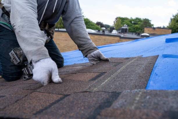 Professional Roofing services in Byron, GA